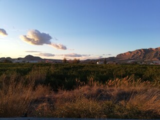 Puesta de sol en la huerta de Murcia