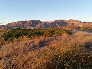 Puesta de sol en la huerta de Murcia