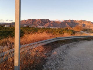 Puesta de sol en la huerta de Murcia
