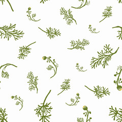A pattern of chamomile grass and leaves on a white background.For fabrics, for printing brochures, posters, parties, vintage textile design, postcards, packaging