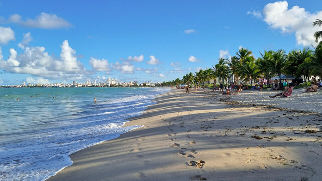 beach with palm trees and skyline