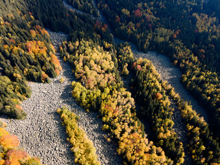 Fototapeta na wymiar tone river know as Zlatnite Mostove at Vitosha Mountain, Bulgaria