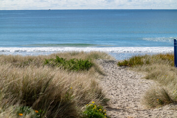 Fototapeta na wymiar Sandy path through dunes to ocean beach at Mount Maunganui