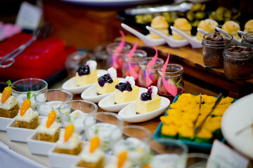 catering food, dessert and sweet, mini canapes, snacks and appetizers, food for the event, sweetmeat
