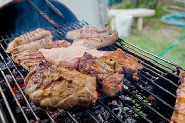  Bar-B-Q, grill, roast, barbecue, tread, stride, bake
