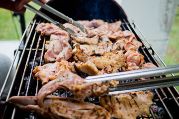  Bar-B-Q, grill, roast, barbecue, tread, stride, bake
