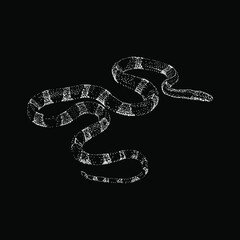 Malayan Krait hand drawing vector illustration isolated on black background