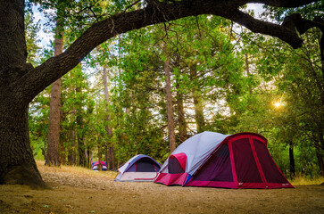 camping in the forest