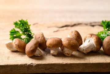 Fresh shiitake mushroom, edible mushroom and food ingredient in Asian cuisine