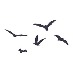 Vector illustration of  flying bats isolated on background.