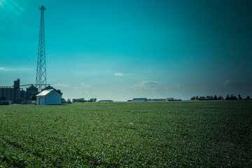 Retro-style green-toned American Heartland agricultural field landscape with a tall communication tower in Ohio, USA - obrazy, fototapety, plakaty