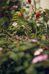 Flores buque novios chavelitas