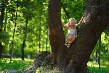 a child in the park playing next to a big tree, the concept of ecology and good humor