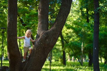 a child in the park playing next to a big tree, the concept of ecology and good humor