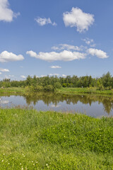 Pylypow Wetlands on a Sunny Summer Day