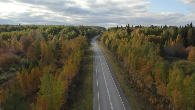 Asphalt road with traffic cars between forest in Ural, Russia. Beautiful autumn nature landscape at during daytime. Aerial view from a drone