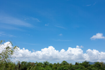 textured of cloud on blue sky above forest