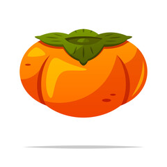 Persimmon fruit vector isolated illustration