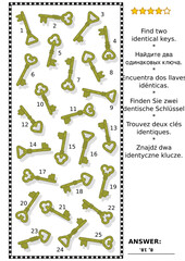 Visual puzzle or picture riddle: Find two identical keys. Answer included.
