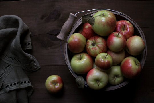 Basket of Apples Gathered at Harvest