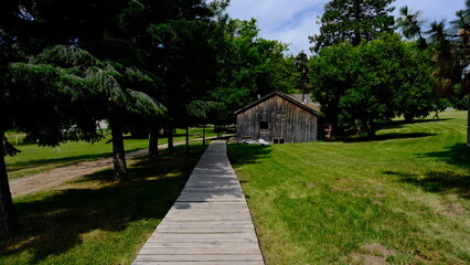 Farm scenes on a sunny day