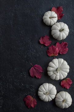 White Mini Pumpkins and Red Maple Leaves in Autumn
