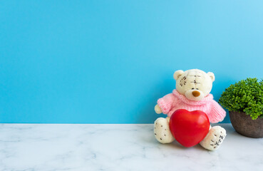 Teddy Bear: Health insurance or love concept