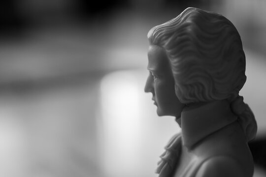 perfil de estatua busto de mozart musica clasica