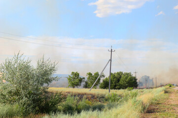 fire in the field and forest. Black smoke from the fire. nature is burning