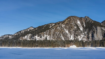 A picturesque mountain against a clear blue sky. There are coniferous trees on the snow-covered slopes and at the foot. Pure white snow covers the valley. Altai