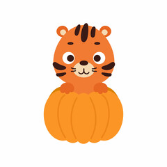 Cute little tiger sitting in a pumpkin. Cartoon animal character for kids t-shirts, nursery decoration, baby shower, greeting card, invitation. Vector stock illustration