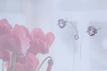 Women's earrings and accessories that has been decorated on a white screen