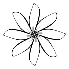 Hand Drawn Line Art Drawing of Flower.Sketch line drawing  flower  isolated illustration on white background, abstract minimal botanical art editable lines,hand painted flowers