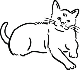 Curious Cat Animal in action Hand drawn sketch Line art Illustration