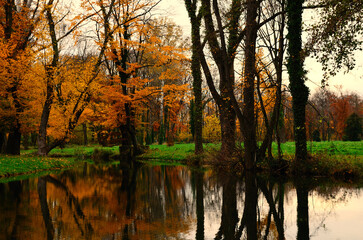 Fototapeta na wymiar autumn forest and reflection in creek