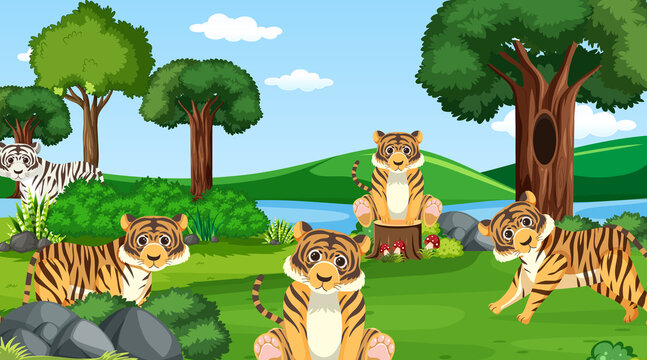 Tigers in the forest scene