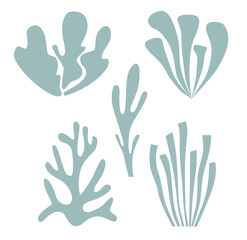 Fototapeta premium A set of marine icons, including various algae, seaweed, corals
