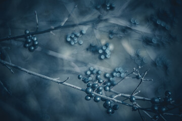 Autumn time - soft focus effect