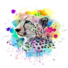 Foto auf Leinwand Bright abstract colorful background withcheetah, paint splashes color art © reznik_val