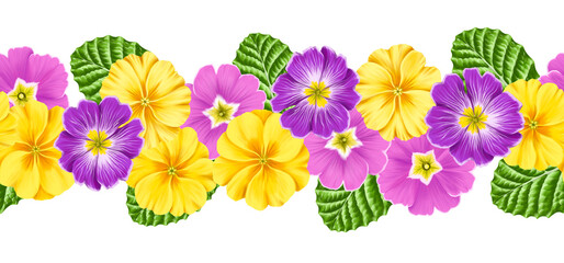 seamless border with drawing flowers of purple and yellow primrose and green leaves at white background , hand drawn botanical illustration