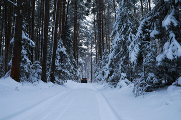 Winter snowy frosty landscape. The forest is covered with snow. Frost and fog in the park.