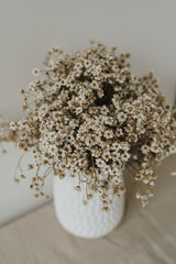 Obraz na płótnie Canvas Small chamomile daisy flowers bouquet in ceramic vase
