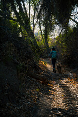 Obraz premium A Sunny Stroll