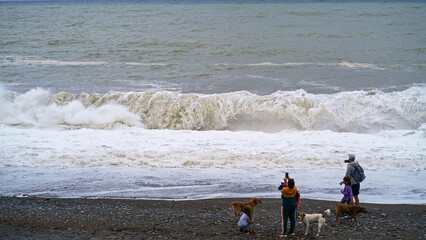 People and dogs are watching a strong storm at sea. Coast of the Black Sea. Thunderstorm....