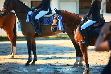 Horse in the award ceremony, third place, in the line-up after the award of the ribbons in the...