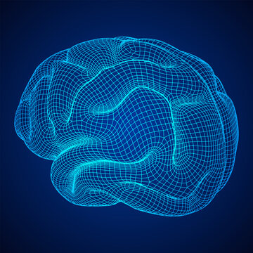 Brain. Low poly abstract digital human brain. Wireframe illustration.