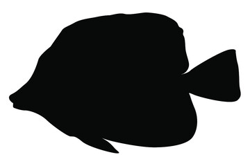 sea ​​fish silhouette vector