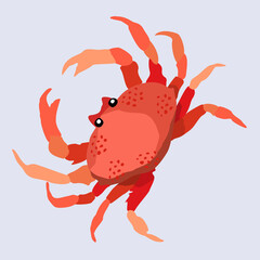 Vector illustration of red crab. Exotic marine animal. Isolated on light background.