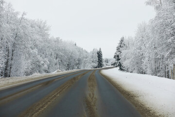 Winter snowy frosty landscape. The forest is covered with snow. Frost and fog in the park.