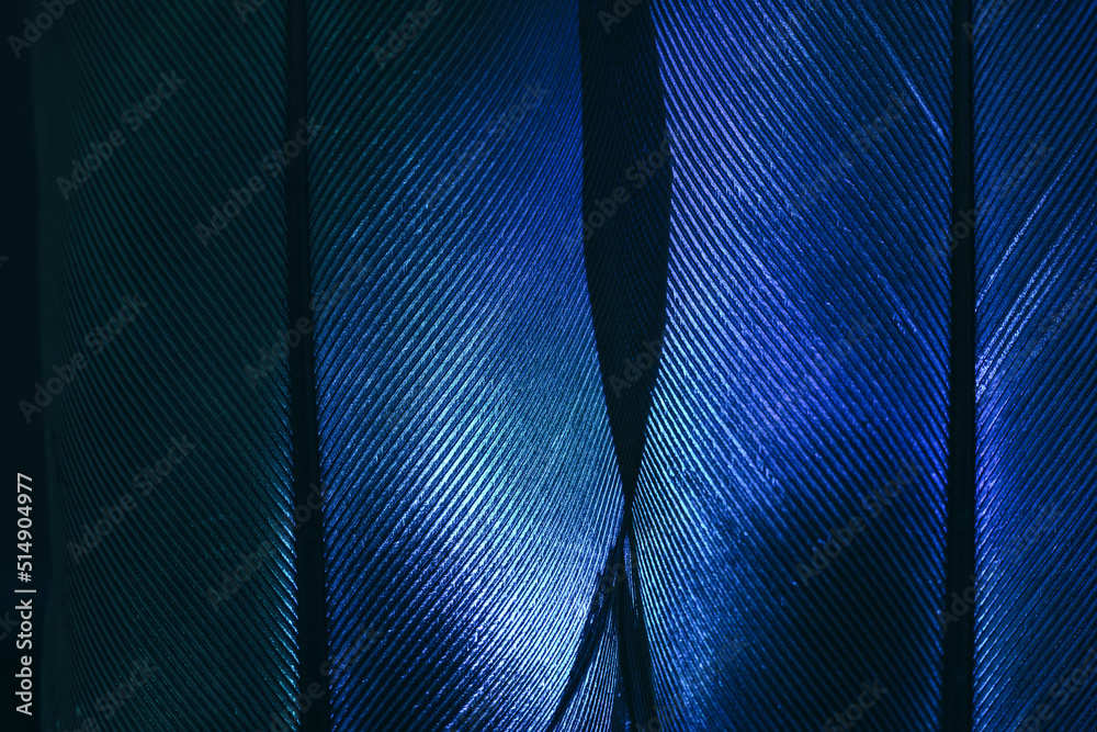 Aufkleber Bird feather neon multi colored light. Beautiful background pattern texture for design. Macro photography view.
